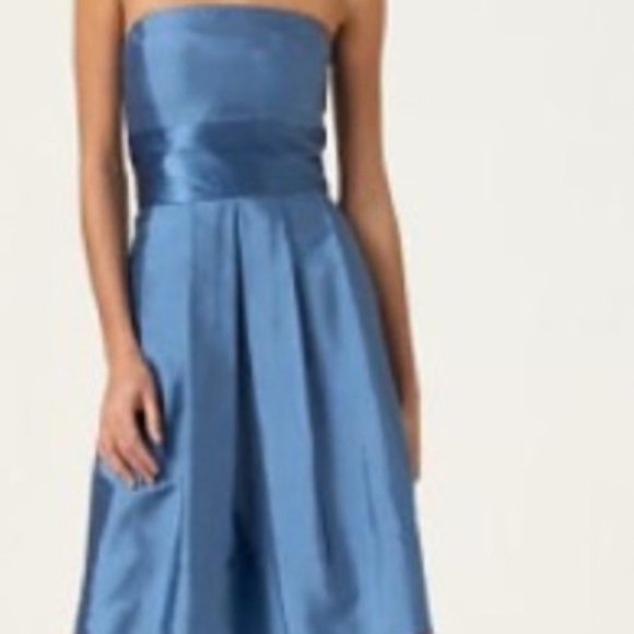 NWT-10,12--Ann Taylor Wedding Celebrations Strapless Bridesmaid Silk Dress